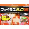 Hisamitsu Pharmaceutical Fitas 5.0 Теплое ощущение Большой размер 10 листов Пластырь (Разогрев) Показания к применению пасты: Боль в суставах, мышечная боль, боль в пояснице, т