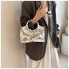 IELGY Women's Hand-held Pleated Bag, Chain Silver Messenger Cloud Bag
