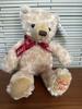 [USED] Hamleys 2024 Teddy Bear with Tags