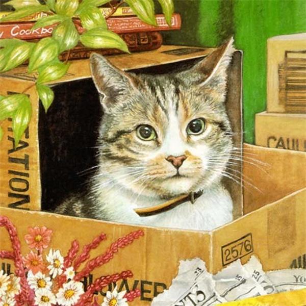 5d алмазная живопись кошка DIY мозаика цветок полная круглая/квадратная Алмазная вышивка животное ремесленный декор для дома