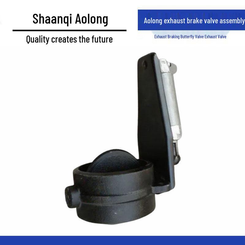 Shaanxi Heavy-Duty Truck Aolong Exhaust Brake Valve Assembly DZ9100189007