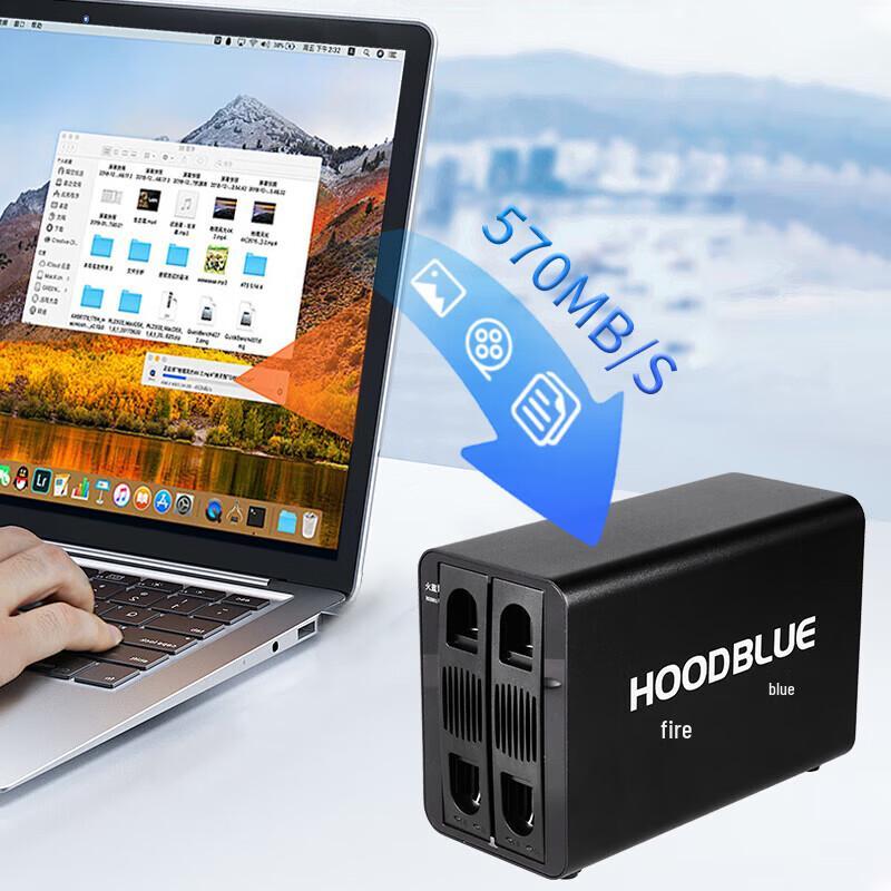 Hoodblue DS2031 Dual-Bay USB 3.1 10Gbps NAS RAID Enclosure