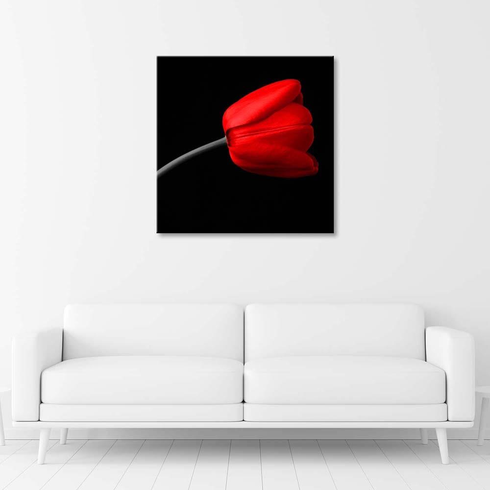 Canvas print, Red tulip flower