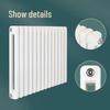 GZ-6030 Steel Two-Column Vertical Radiator