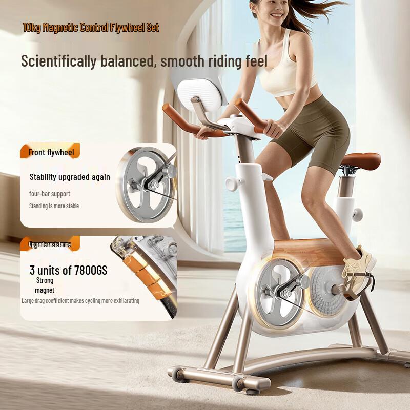Ye Xiaoshou R6 Self-Generating Magnetic Spin Bike CN plug (adapter included)