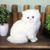 Пушистый персидский кот, модное животное, имитация вечеринки, домашняя модель, фигурка, художественное украшение, настольные украшения