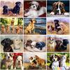 Dog DIY Cartoon 5D Diamond Painting Full Round Drill Animal Diamond Embroidery Rhsin Mosaic Cross Stitch Kit Wall Art Home Decor
