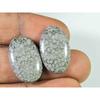 21.50Cts. Натуральный черный ископаемый коралл (14мм х 23мм каждый) Пара кабошонов SK-2503