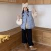 Осенне-зимний женский короткий хлопковый жилет со стойкой, свободный, литературный, маленький, свежий, синий, в клетку, ретро, хлопковая жилетка-куртка