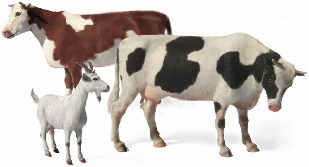 Мастер Бокс Животноводство 2 Коровы и 1 Пластик MB35066 1/35 Набор, Коза, Модель,