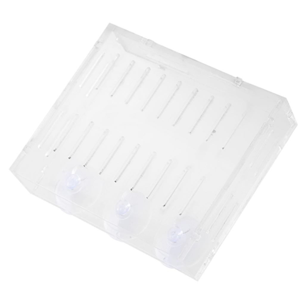 Аквариумный Растение Водная Трава Чаша Ландшафтные Растения Культивация Бассейн Чаша с Присосками