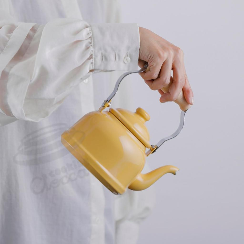 Мини-чайник Fuji Enamel Beams, эмалированный, совместимый с IH, белый, 0,9 л, BMS09TK.CW