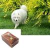 Create Special Place of Remembrance for Departed Pet with Wood Pet Remembrance Urn Box To Preserve Beautiful Memories