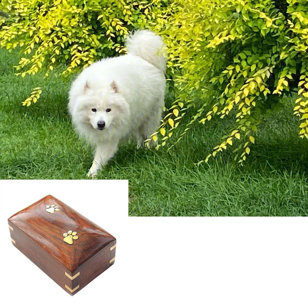 Create Special Place of Remembrance for Departed Pet with Wood Pet Remembrance Urn Box To Preserve Beautiful Memories