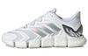 Climacool Vento 'White Silver Metallic' FZ1731