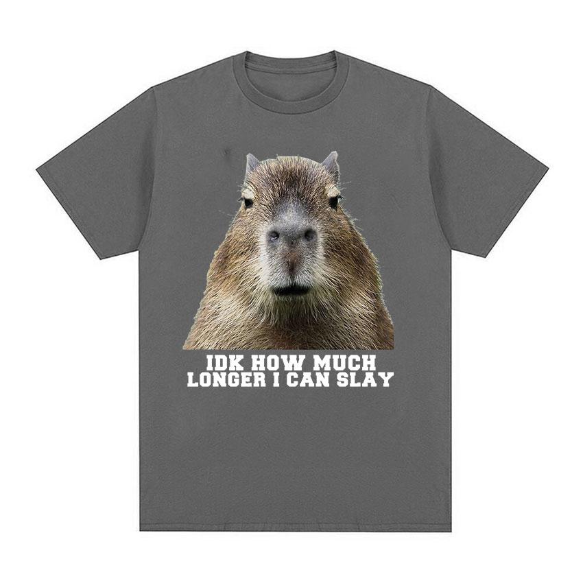 Idk How Much Longer I Can Slay Capybara Funny Meme T Shirts Men Retro Fashion High Quality Oversized Cotton T-shirt Tops Unisex