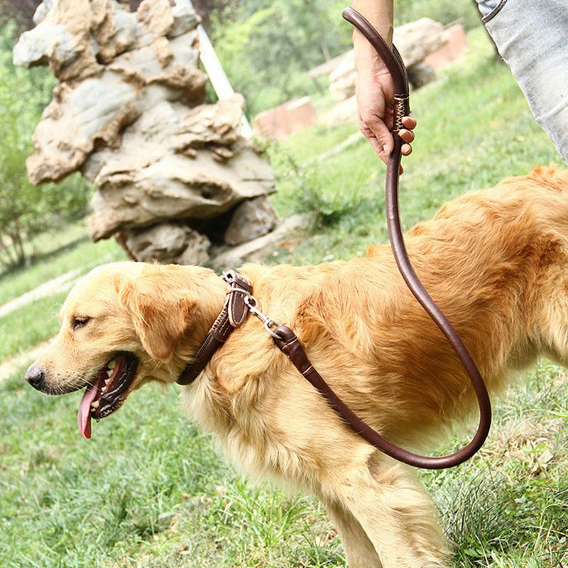 Strong PU Pet Dog Collar Leash for Medium Large Dogs Round Rope Traction Belt Golden Retriever Chain Leads mascotas Accessories
