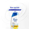 Head & Shoulders Anti-Dandruff Shampoo