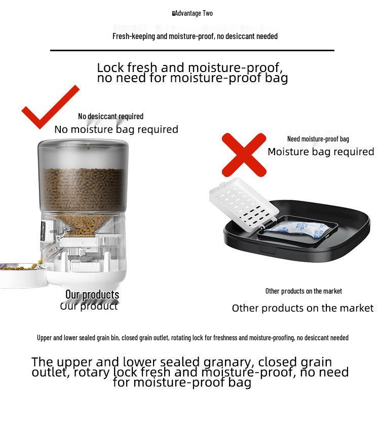 Smart Graffiti Timed Automatic Cat Feeder & Food Dispenser