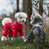 Водонепроницаемые дождевики-пончо для собак, пальто, 6 размеров на выбор, регулируемый дождевик для питомца, дождевая одежда для прогулок и выездов