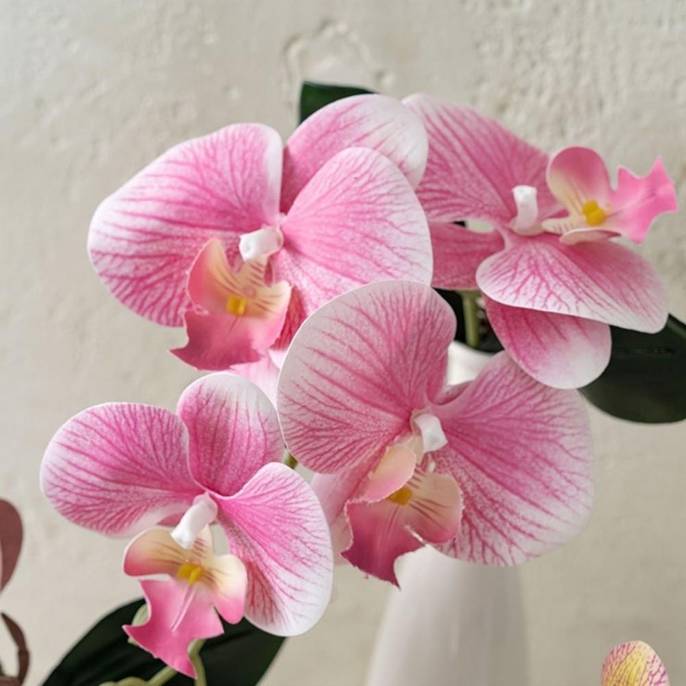 Cloth Simulation Phalaenopsis Vivid Fake Butterfly Orchid Artificial Moth Orchids Bedroom