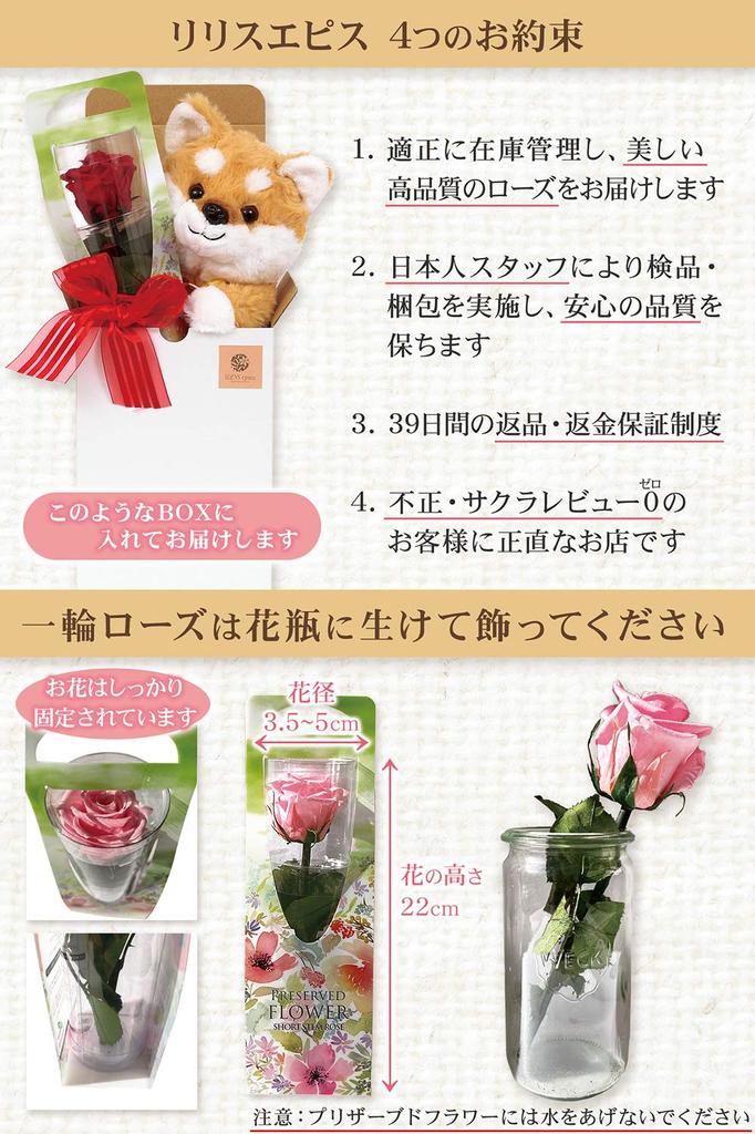 LiLYS Сохраненный цветок 2025 Плюшевая игрушка Сиба-ину с одним Идеальный подарок для и Дни рождения épice Rose, Торжества, Юбилеи, (Rouge Velvet)