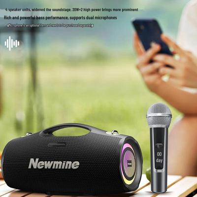 Уличный Bluetooth-динамик для караоке Newmine BT101 (Китайская версия)