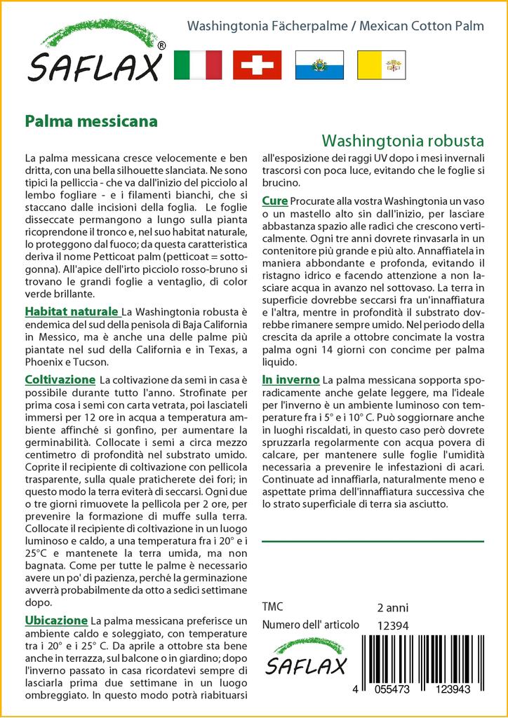 SAFLAX Мексиканская хлопковая пальма - 12 семян - Вашингтония робуста