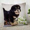 Tibetan Mastiff Pillowcase  Modern Home Living Room Decoration