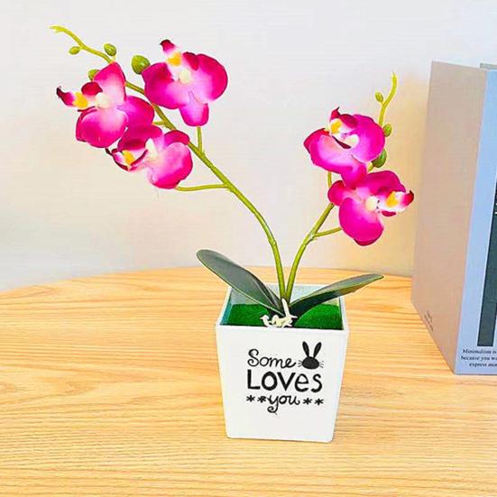 Мода Моделирование Цветок Декоративный Нежный Привлекательный