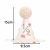 Photo Props Birthday Hat Sweet Bow Lace Ruffle Hat Princess Birthday Hat  Birthday Decoration