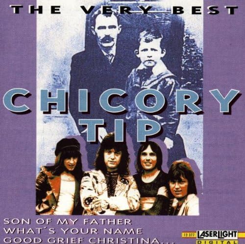 CD ЦИКОРИЙ ТИП - Самое Лучшее 12377 Япония Музыка Другое Б/У