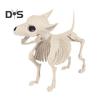 Halloween Dog Skeleton Ornament Realistic Plastic Animal Bone Figurine for Halloween Indoor Outdoor Decor Party Favors