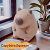 Creative Pinch Capybara Squeeze Toys Cartoon Fidget Sensory Toy New Decompression Toys  Kids Adults