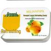 Calycium Watermelon & Jinyinhua Mint Lozenges – Refreshing Candy, 16 Tablets in Tin Box