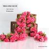 Artificial Rose Vine for Living Room Decoration, Air Duct Cover, Plastic Flower Garland