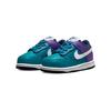 Nike Dunk Low TD Бирюзовый Фиолетовый Белый DH9761-300