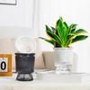 Mini Self Watering Flower Pot Fish Tank Transparent Plastic Plant Pots Self Watering Planter Pot Vase For Home Decoration
