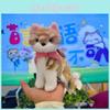 Sit Style Plush Cat Keychain With Pp Cotton Filling For Gift And Collection
