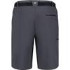 Regatta Mens Xert III Stretch Shorts