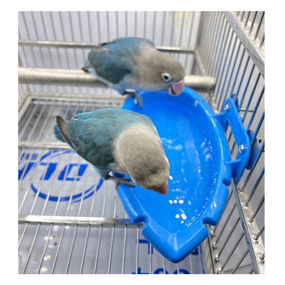 Коробка для купания птиц, коробка для купания попугая пиона тигровой окраски, кормушка, коробка для купания попугая, кормушка, коробка для купания птиц