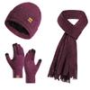 New Set for Autumn and Winter, Velvet Knitted Hat, Scarf, Gloves, Three-piece Set of Thermal Wool for Men and Women