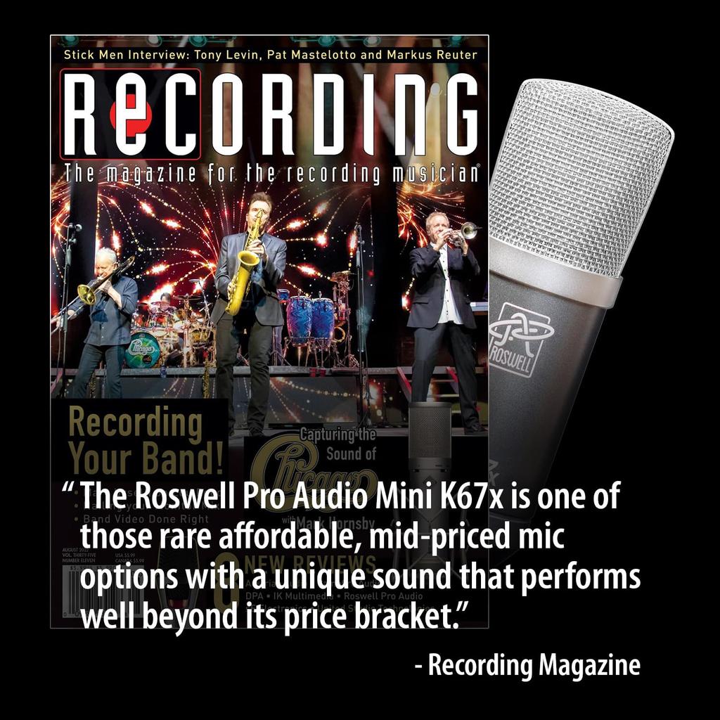 Roswell Pro Audio Mini K67x Large Diaphragm Condenser Microphone