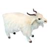 BH6486 HANSA Angora Goat 30