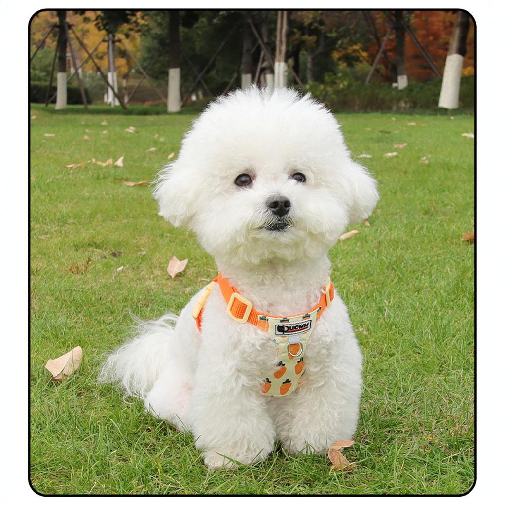 Dog with Traction Rope, Orange and Hexagonal Design, I-Shaped Abdomen