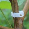 100Pcs Plant Support Clips Labor-saving Long Lasting Plastic Hanging Vine Fixing Clips for Home