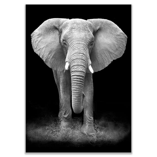 Черно-белые настенные постеры с животными, принт, носорог, жираф, зебра, лев, слон, холст, картина, настенное искусство, декоративные домашние фотографии