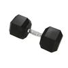 TLXT Solid Cast Iron Fixed Dumbbell