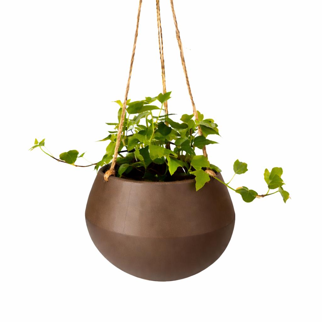 Hanging brown hemispherical flowerpot for plants on the balcony
