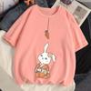 Cotton Rabbit T-shirt Women 2025 Summer New White Trend Women's Short-sleeved Loose Tops